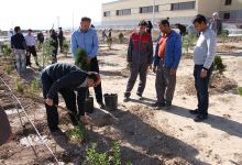 گزارش تصویری مراسم روز درخت کاری و تقدیر از نیروهای باغبانی دانشگاه